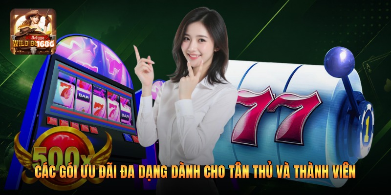 Các gói ưu đãi đa dạng dành cho tân thủ và thành viên